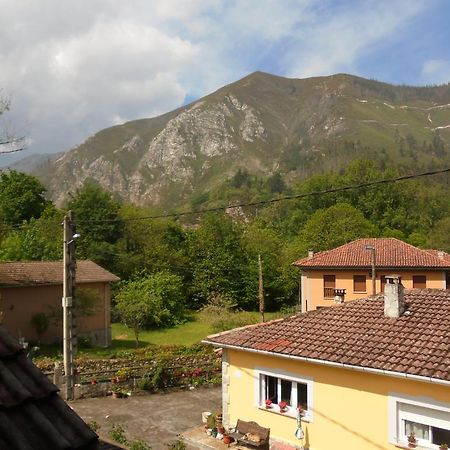 Pension La Barca Caño エクステリア 写真