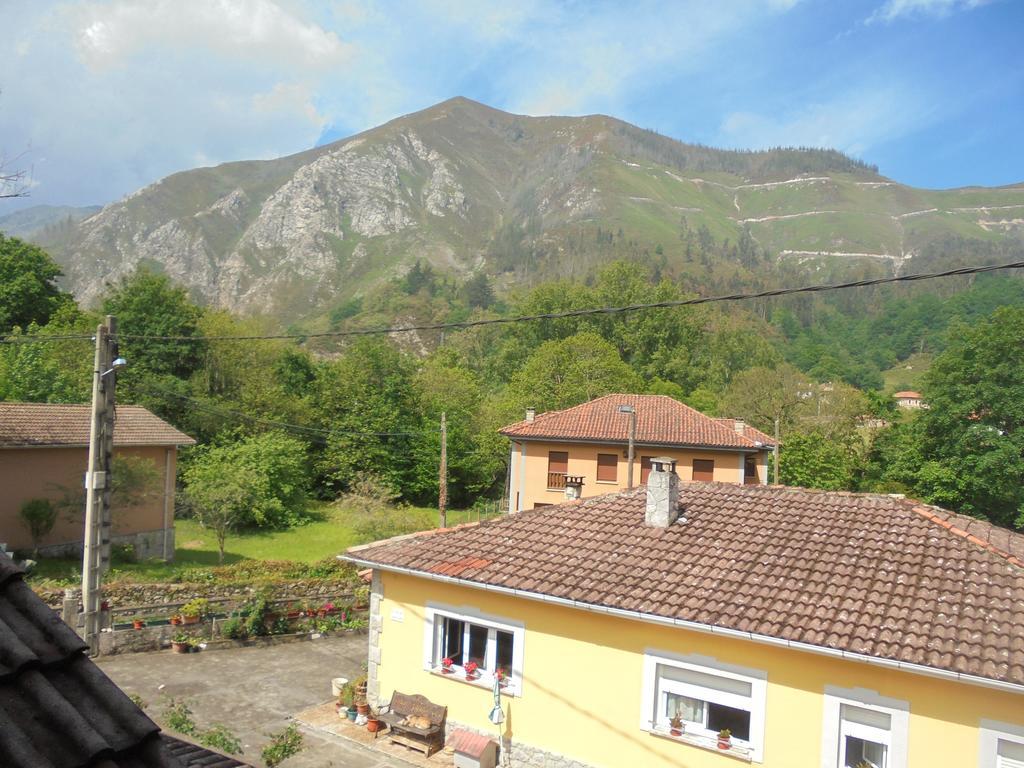 Pension La Barca Caño エクステリア 写真